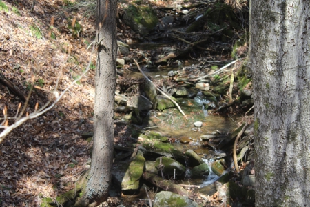 Trouttown, USA hunting lan across from the Willowemoc River. - image 7