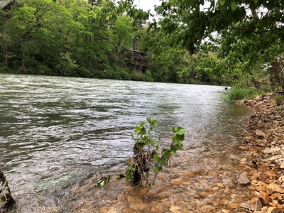 River Front Property for Sale in Southern Missouri Ozarks - image 10