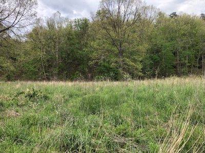 River Front Property for Sale in Southern Missouri Ozarks - image 5