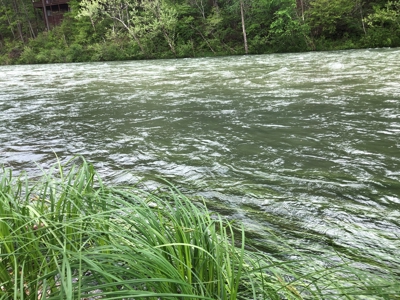 River Front Property for Sale in Southern Missouri Ozarks - image 7