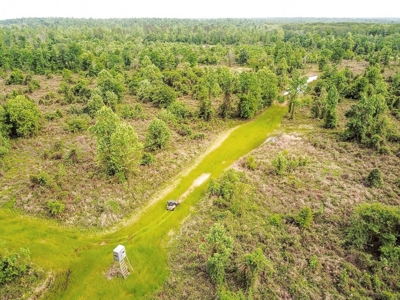 1260 Acres Riverfront Hunting Land for Sale, Port Gibson, MS - image 39