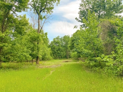 1260 Acres Riverfront Hunting Land for Sale, Port Gibson, MS - image 12
