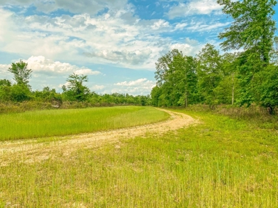 1260 Acres Riverfront Hunting Land for Sale, Port Gibson, MS - image 2