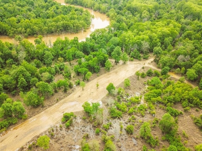 1260 Acres Riverfront Hunting Land for Sale, Port Gibson, MS - image 1