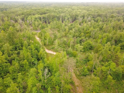 1260 Acres Riverfront Hunting Land for Sale, Port Gibson, MS - image 43
