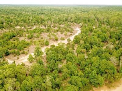 1260 Acres Riverfront Hunting Land for Sale, Port Gibson, MS - image 34