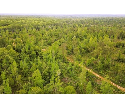 1260 Acres Riverfront Hunting Land for Sale, Port Gibson, MS - image 42
