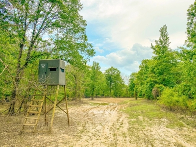 1260 Acres Riverfront Hunting Land for Sale, Port Gibson, MS - image 8