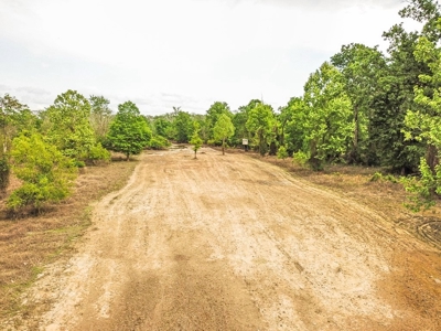 1260 Acres Riverfront Hunting Land for Sale, Port Gibson, MS - image 33