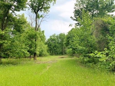 1260 Acres Riverfront Hunting Land for Sale, Port Gibson, MS - image 24