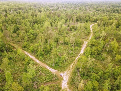 1260 Acres Riverfront Hunting Land for Sale, Port Gibson, MS - image 45