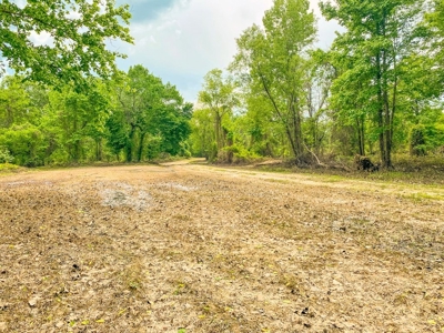 1260 Acres Riverfront Hunting Land for Sale, Port Gibson, MS - image 3