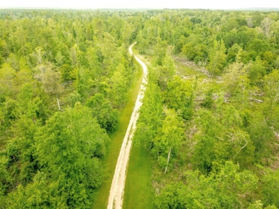 1260 Acres Riverfront Hunting Land for Sale, Port Gibson, MS - image 41