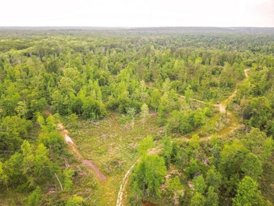 1260 Acres Riverfront Hunting Land for Sale, Port Gibson, MS - image 40