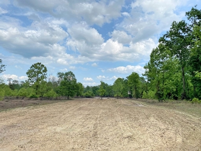 1260 Acres Riverfront Hunting Land for Sale, Port Gibson, MS - image 31