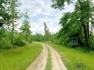 1260 Acres Riverfront Hunting Land for Sale, Port Gibson, MS - image 20