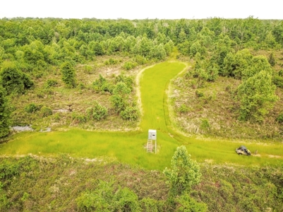 1260 Acres Riverfront Hunting Land for Sale, Port Gibson, MS - image 38