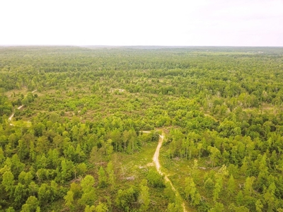 1260 Acres Riverfront Hunting Land for Sale, Port Gibson, MS - image 44