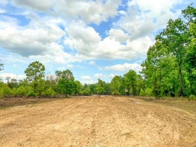 1260 Acres Riverfront Hunting Land for Sale, Port Gibson, MS - image 5