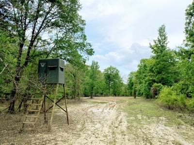 1260 Acres Riverfront Hunting Land for Sale, Port Gibson, MS - image 28