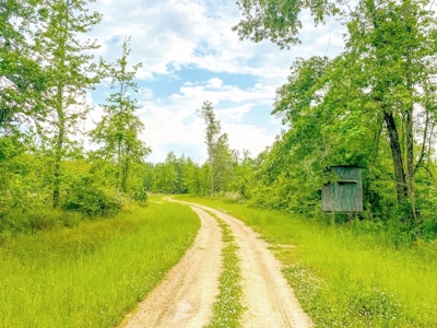 1260 Acres Riverfront Hunting Land for Sale, Port Gibson, MS - image 16