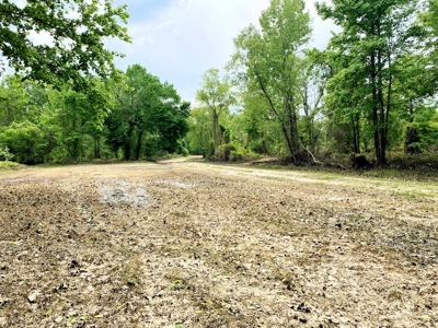 1260 Acres Riverfront Hunting Land for Sale, Port Gibson, MS - image 32