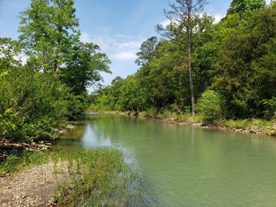 17.1 Acre Kiamichi River Mountain Cabin -  National Forest - image 10