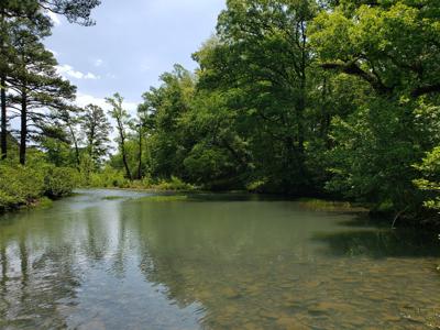 17.1 Acre Kiamichi River Mountain Cabin -  National Forest - image 16