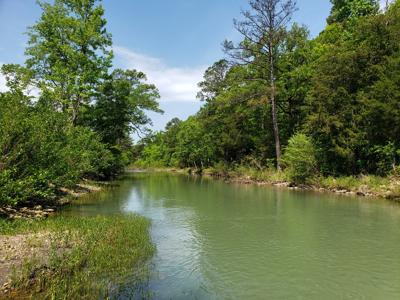 17.1 Acre Kiamichi River Mountain Cabin -  National Forest - image 8