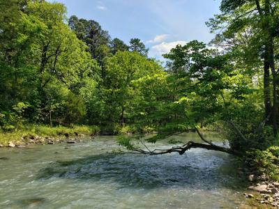 17.1 Acre Kiamichi River Mountain Cabin -  National Forest - image 5