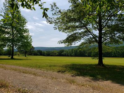 17.1 Acre Kiamichi River Mountain Cabin -  National Forest - image 19