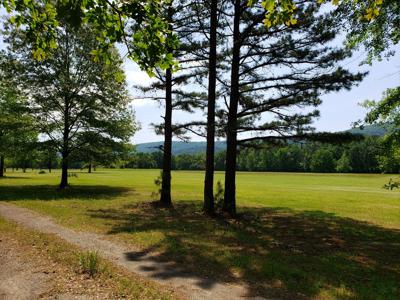 17.1 Acre Kiamichi River Mountain Cabin -  National Forest - image 18