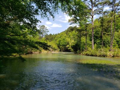 17.1 Acre Kiamichi River Mountain Cabin -  National Forest - image 4