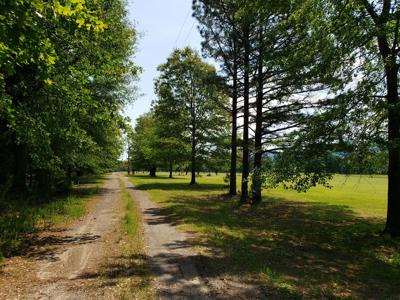 17.1 Acre Kiamichi River Mountain Cabin -  National Forest - image 17