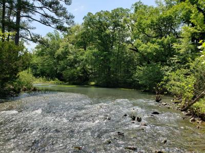 17.1 Acre Kiamichi River Mountain Cabin -  National Forest - image 15