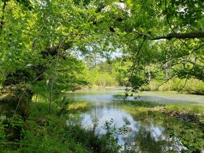 17.1 Acre Kiamichi River Mountain Cabin -  National Forest - image 12