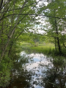 Duck And Deer Hunting Land Southeast Oklahoma - image 34
