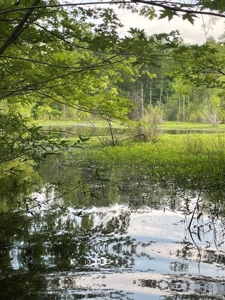 Duck And Deer Hunting Land Southeast Oklahoma - image 33