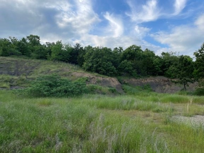 Duck And Deer Hunting Land Southeast Oklahoma - image 27