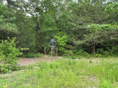 Duck And Deer Hunting Land Southeast Oklahoma - image 38