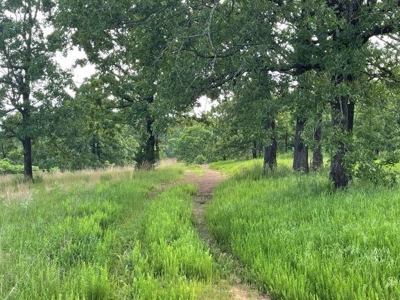 Duck And Deer Hunting Land Southeast Oklahoma - image 20