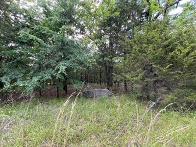 Duck And Deer Hunting Land Southeast Oklahoma - image 42
