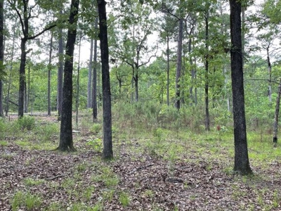 Duck And Deer Hunting Land Southeast Oklahoma - image 25