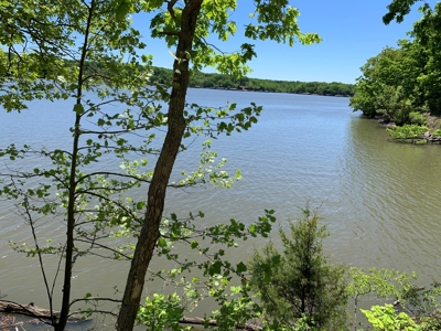 12.+/- Acres Waterfront Property Lake of the Ozarks 55MM - image 20