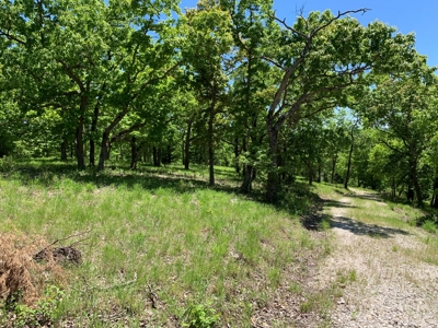 12.+/- Acres Waterfront Property Lake of the Ozarks 55MM - image 5