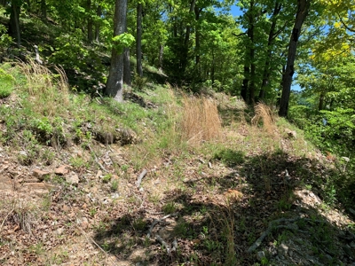 12.+/- Acres Waterfront Property Lake of the Ozarks 55MM - image 22