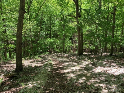12.+/- Acres Waterfront Property Lake of the Ozarks 55MM - image 34