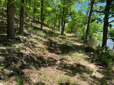 12.+/- Acres Waterfront Property Lake of the Ozarks 55MM - image 17