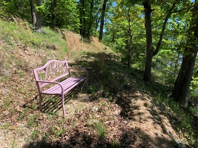 12.+/- Acres Waterfront Property Lake of the Ozarks 55MM - image 30