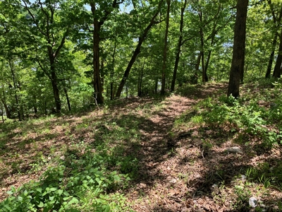 12.+/- Acres Waterfront Property Lake of the Ozarks 55MM - image 11